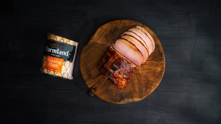 Airfryer Asian style glazed ham_Farmland,landscape_HR-07336_Edited